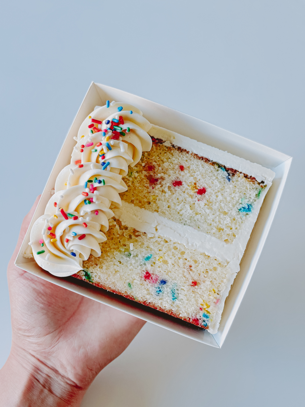 Funfetti Cake Slice