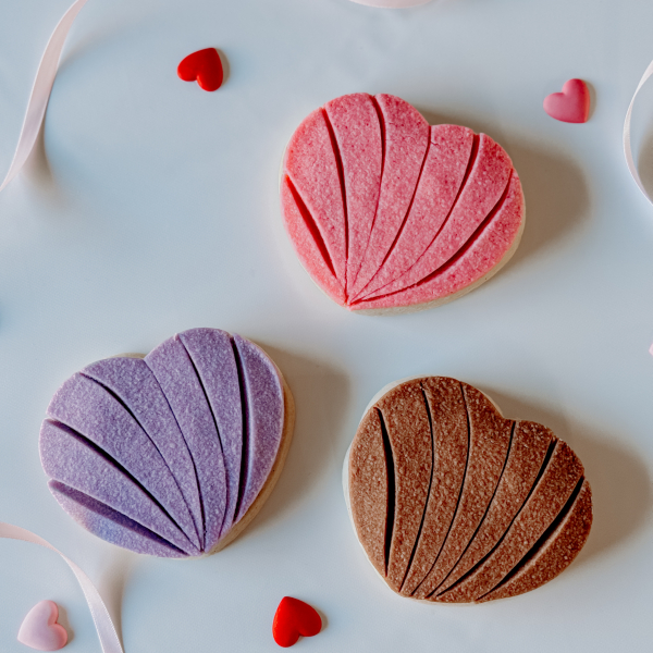 Set of 3 Concha Cookies